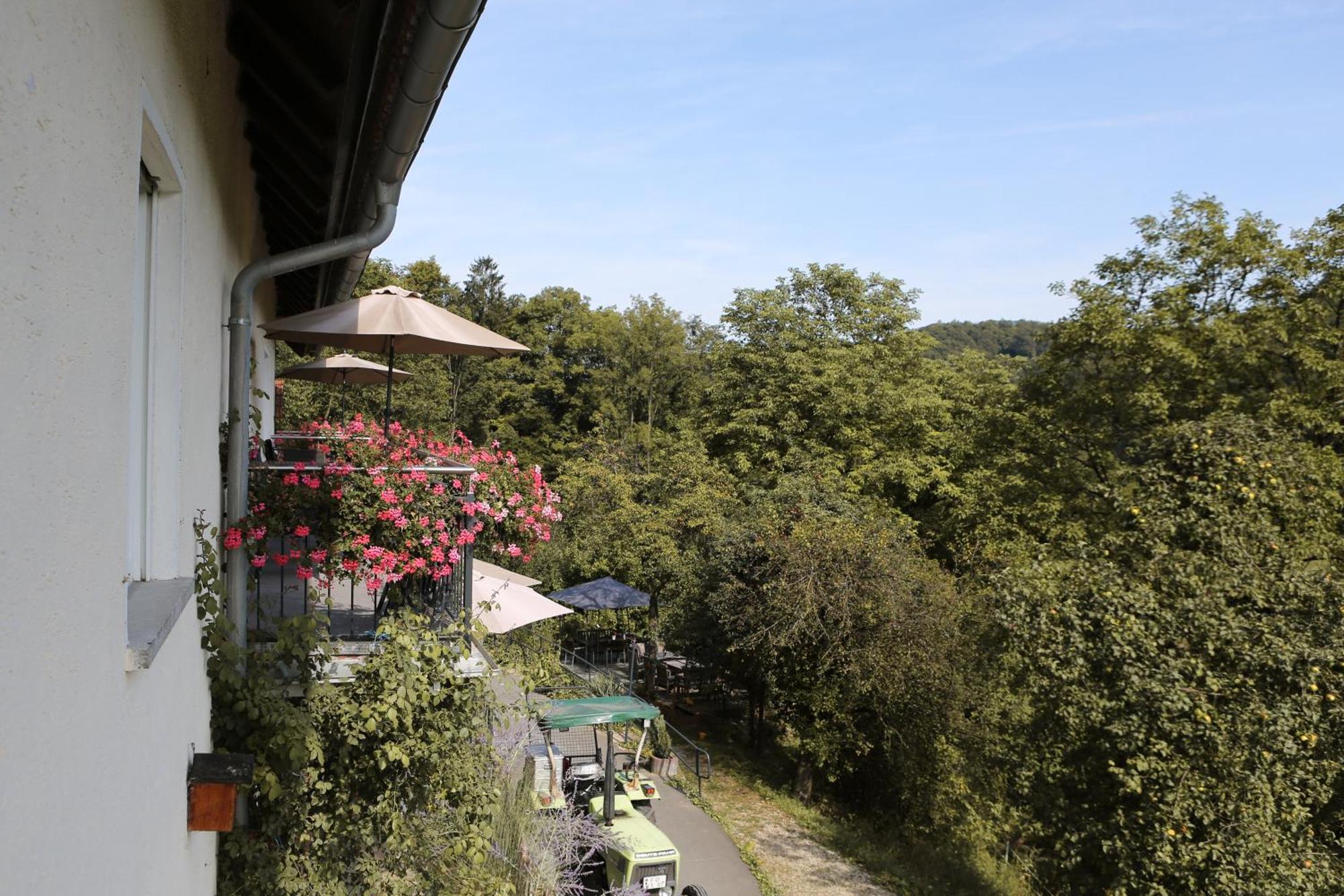 Ferienwohnungen Porisch Egloffstein Bagian luar foto
